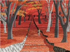 霜降｜以节为骨，以花为心；在寒中藏光，于静处见暖