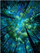 渔父节气｜谷雨：雨润百谷，春深将尽，天地有序，万物各得其时
