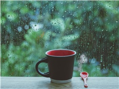 渔父观点｜雨太久了：长沙今年的春天，为什么让人越来越重