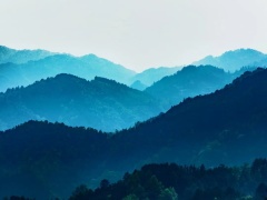 渔父山中一日｜今日无事，只管自在