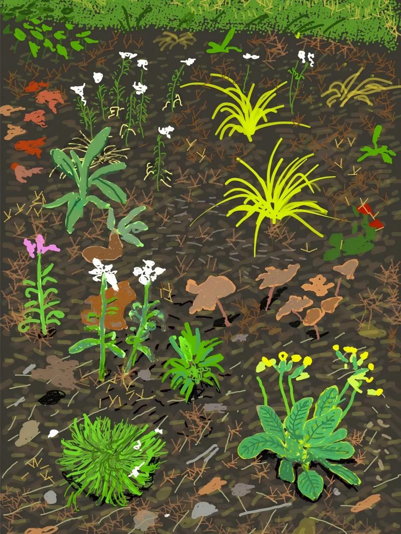 渔父节气｜惊蛰：当雷声落在时代之上，动处见生机，静中见根本